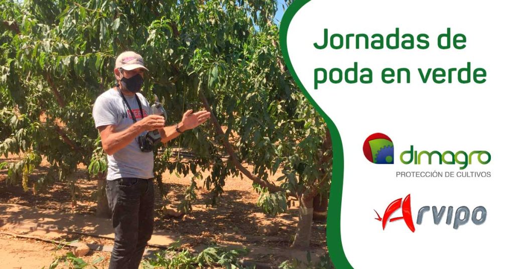 Jornadas de formación: Nuevas técnicas de poda en verde