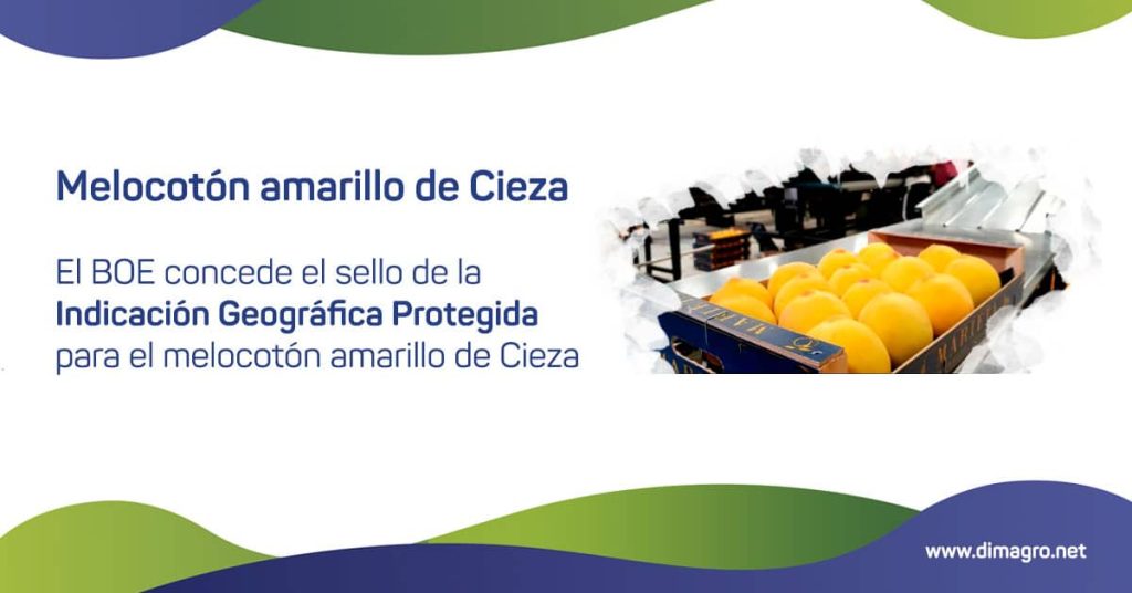 Sello de la Indicación Geográfica Protegida para el melocotón amarillo de Cieza
